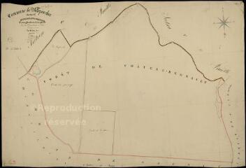 1 vue Villeporcher : plans du cadastre napoléonien. Section C3 dite du long des bois
