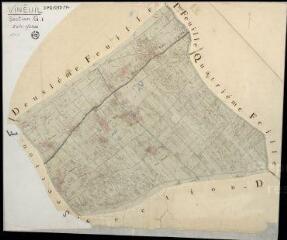 1 vue Vineuil : plans du cadastre napoléonien. Section G1