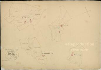 1 vue Vouzon : plans du cadastre napoléonien. Section E dite de chenée, développement