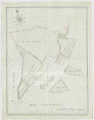 1 vue  - [Les-Roches-l\'Évêque : plan de terres appartenant à l\'abbaye de la Virginité, avec le chemin des Roches à Savigny] ; fecit Chaintron, 1781. (ouvre la visionneuse)