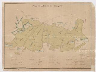 1 vue [Romorantin-Lanthenay] : plan de la forêt de Bruadan, près Romorantin,[XVIIIe].