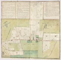 1 vue  - [Ouzouer-le-Marché] : plan du fief de vigne, paroisse d\'Ozoir-le-Marché, dépendant du chapitre Saint-Louis de Blois, 1748. (ouvre la visionneuse)