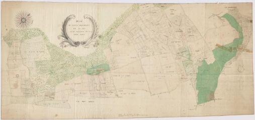 1 vue [Chouzy-sur-Cisse] : plan du censif dépendant de La Leu [Laleu], situé paroisse de Chousy-sous-Blois, XVIIIe.