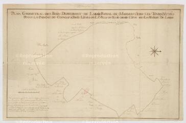 1 vue [Chouzy-sur-Cisse] : plan géométral des bois du Ranson dépendant de l'abaïe royale de Marmoutiers, par Nozereau, arpenteur, 1742.