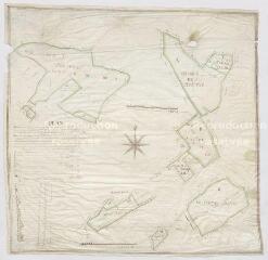 1 vue Vendôme : plan géométrique de tous les bois dépendant du Couvent de Sainte-Ursule de Vendôme, par René Renou arpenteur, 1784.