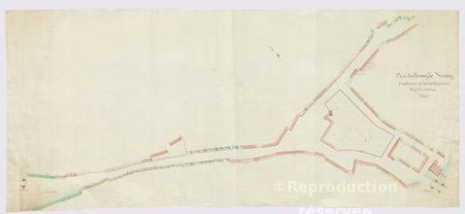 1 vue [Neung-sur-Beuvron] : plan du bourg, arrondissement de Romorantin, [XIXe].