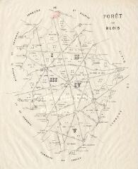 1 vue [Blois] : forêt de Blois, XIXe, carte imprimée.