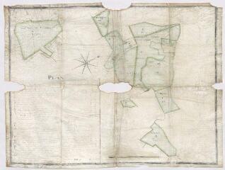 1 vue [Ruan-sur-Egvonne, Bouffry] : plan géométral des bois [?] de l'abbaye royale de la Madeleine de Châteaudun, situés paroisses de Ruan et Bouffry, par M. Deschamps arpenteur, 1760.