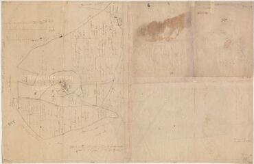 1 vue [Lorges] : bois de l'Aumône et terres de Marigny, par Crouin arpenteur du roy à Blois, 1778