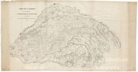 1 vue  - [Sologne] : carte de la Sologne dans les départements du Loiret, du Cher et de Loir-et-Cher, [XIXe], carte imprimée. (ouvre la visionneuse)