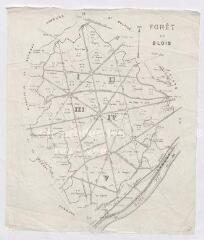 1 vue [Blois] : forêt de Blois, XIXe, carte imprimée.