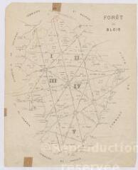 1 vue Blois : plan de la forêt de Blois, s.d. [XXe siècle], carte imprimée.
