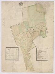 1 vue [Cheverny] : plan des mineurs Druillon, [pièces de terres situées sur la commune, XVIIIe siècle]. Provenance : Tribunal civil de Blois.