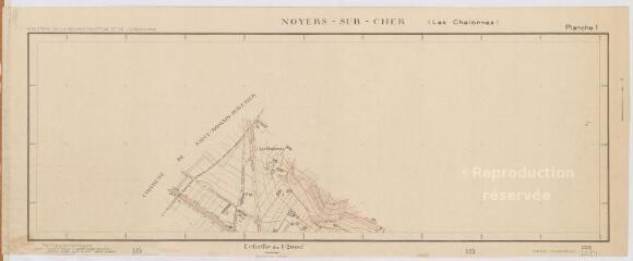 1 vue Noyers-sur-Cher : plan topographique régulier [secteur des Chalonnes] dressé par le Ministère de la Reconstruction et de l'Urbanisme, 1949, plan imprimé.