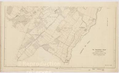 1 vue [Saint-Aignan-sur-Cher] : délégation générale à l'équipement national, plan topographique [secteur sud de la ville], 1945, plan imprimé.
