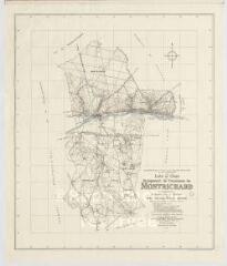 1 vue [Montrichard] : groupement de communes de Montrichard : plan topographique dressé par le Secrétariat d'État à la Reconstruction et au Logement, 1957, plan imprimé.