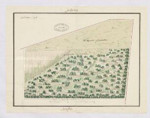 1 vue  - [Menars : plan de la coupe du grand parc, 1769], plume et aquarelle. (ouvre la visionneuse)