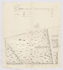 1 vue [Menars] : coupe de l'année 1776 [grand parc], dessin plume et aquarelle.