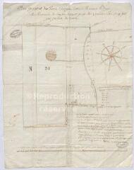 1 vue [Vendôme] : plan géométral des terres échangées entre Monsieur Bégon et Messieurs du chapitre de Saint-Georges de Vendôme, par François des Essarts, 1713. Provenance : G 297.