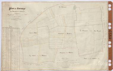 1 vue [Selommes] : hôpital général, ferme du Bouchet : plan de bornage. Par Bouchet, [?], janvier 1849, plume.