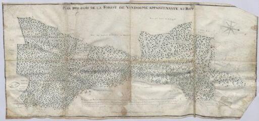 1 vue [Vendôme] : plan des bois de la forest de Vandosme appartenante au Roy. Levé et dressé par Ergo, octobre 1741, plume et aquarelle.