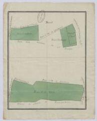 1 vue [Montoire-sur-le-Loir : plan des bois, XVIIIe], plume et aquarelle.