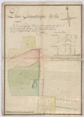 1 vue  - [Ouzouer-le-Marché] : plan géométrique de la ferme des Granges, paroisse d\'Ousouer le Marché, [XVIIIe], plume et aquarelle. (ouvre la visionneuse)