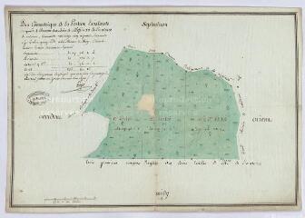 1 vue [Vendôme] : plan géométrique de la portion existante du quart de réserve des Bois de Messieurs de l'Oratoire, 19 juin 1777, plume et aquarelle.