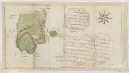 1 vue [Vendôme] : plan géométral du quarreau de bois taillis appellé le Bois de Courtiras [?.], 7 décembre 1724, plume et aquarelle.