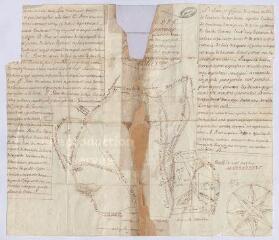 1 vue [Vendôme] : plan et figure des bois taillis de l'Oratoire de Vendôme appelés les bois de Courtiras [?], 16 mai 1729, plume.