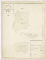 1 vue [Talcy ] : plan des bois appartenant à Monsieur de Burgeat, seigneur de Talci, 1737, plume et aquarelle.