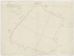1 vue  - [Briou, Talcy] : plan géométrique d\'une pièce de bois dite la Grande Vove ou vallée des Capucins [?], 10 janvier 1834, plume. (ouvre la visionneuse)