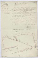 1 vue [Talcy] : [plan de] bornage de la ferme de la Bassecour, [située dans le village de Talcy, feuille n°13], 18 décembre 1833, plume et aquarelle.