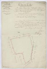 1 vue [Talcy] : [plan de] bornage de la ferme de la Bassecour, [située dans le village de Talcy, feuille n° 3], 15 décembre 1833, plume et aquarelle.
