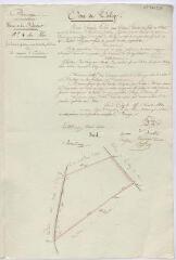 1 vue [Talcy] : [plan de] bornage de la ferme de la Bassecour, [située dans le village de Talcy, feuille n° 4], 17 décembre 1833, plume et aquarelle.