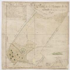 1 vue [Saint-Laurent-Nouan] : plan de la métairie de la Lande, paroisse Saint-Laurent-des-Eaux, [fin XVIIIe siècle], plume et aquarelle.