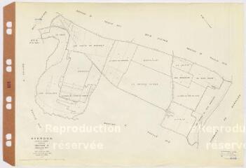 1 vue Averdon : reproduction du plan cadastral de la commune, section E1, plan révisé en 1935. Echelle au 1/2500ème