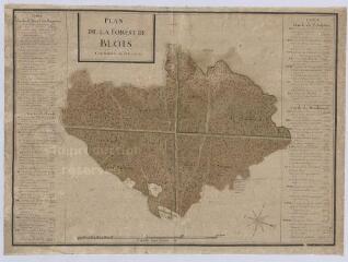 1 vue Blois : plan de la forêt de Blois, s.d. [après 1713]. plan de la moitié occidentale de la commune, des Grouets, de la partie occidentale de la forêt et la rive droite de la Loire jusqu'aux Imberts, s.d. [antérieur à 1716]. Echelle d'une lieue
