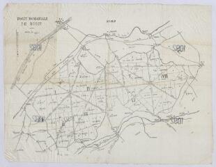 1 vue Blois : plan de la forêt de Russy avec les allées et les routes forestières telles qu'elles étaient au XIXe siècle, s.d. Echelle au 1/20 000ème