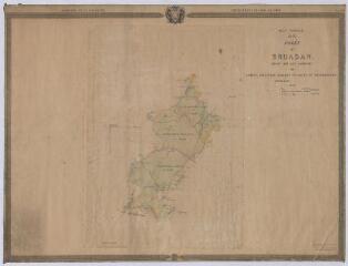 1 vue Loreux, Millançay, Marcilly-en-Gault, Villeherviers : plan général de la forêt de Bruadan, 1832