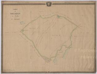 1 vue Loreux, Millançay, Marcilly-en-Gault, Villeherviers : plan général de la forêt de Bruadan (3e feuille), 1832