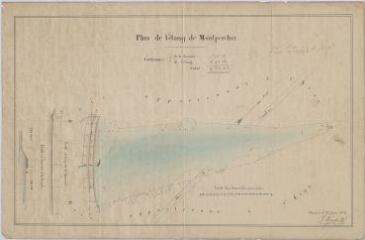 1 vue [Chambord] : plan de l'étang de Montpercher avec profil en long de la chaussée et profil en travers de la bonde. Dressé par le géomètre Marcellier à Chambord, le 22 février 1859