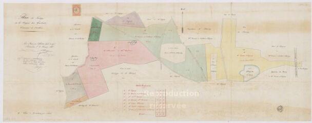 1 vue Veilleins : plan de partage de la bruyère des Guiberts. Levé et dressé par le géomètre expert soussigné, 10 décembre 1883.