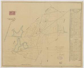 1 vue Millançay, Romorantin-Lanthenay : plan parcellaire du domaine de Favelle. Dressé par le cabinet de A. Courtillet, géomètre-expert. 1892.