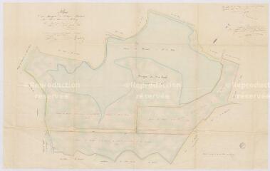 1 vue Romorantin-Lanthenay : plan des bruyères de l'étang de Marcheval situé sur la commune de Millançay. Levé et dressé par le géomètre soussigné, Romorantin le 14 septembre 1855
