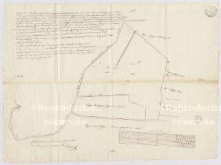 1 vue Blois : plan des séparations entre plusieurs parcelles de vignes, 22 mars 1800.
