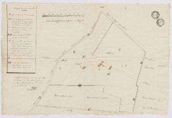 1 vue Blois : plan des séparations entre plusieurs parcelles de vignes. A mettre en relation avec le plan 1 Fi 1797. 23 mars 1800