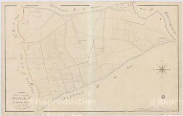 1 vue [Romorantin-] Lanthenay : plan issus de la section F du cadastre de Grange-Neuve. [XIXe].