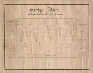 1 vue  - Généalogie et alliances des Marquis des Isnards et des Marquis Robin de Barbentane : [tableau généalogique dressé ca 1857]. (ouvre la visionneuse)