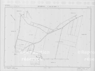 1 vue Autainville (Commune de) : plan de remembrement. Section ZV